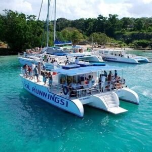 Cruise Shore Excursions